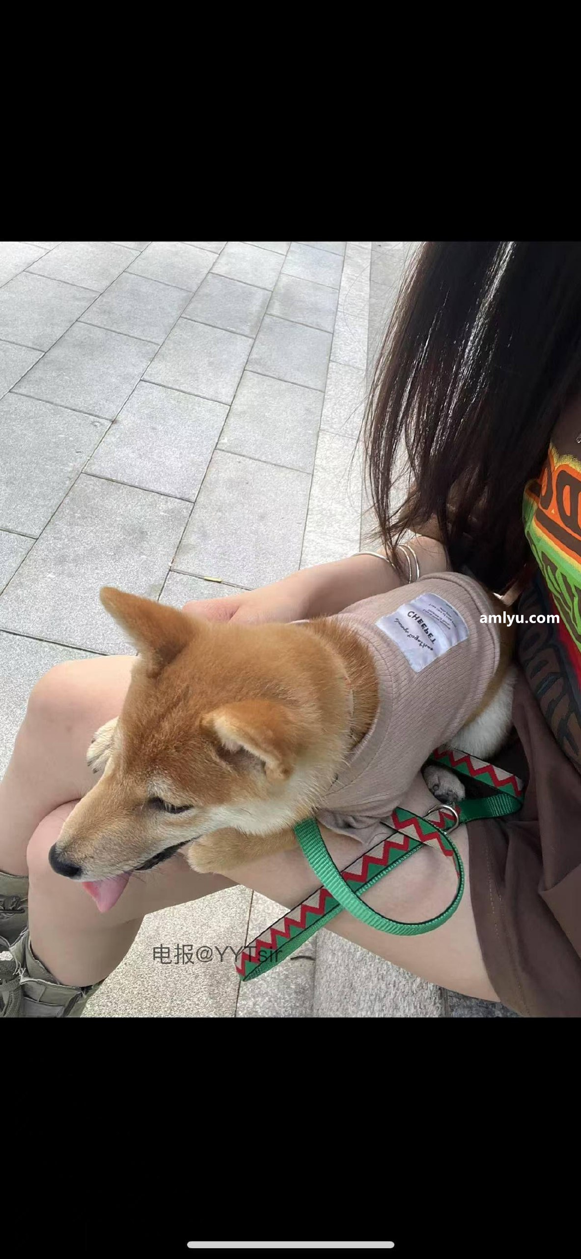 图片[2]-抖音 皮卡邱 微密圈  NO.002期 【37P5V】最新至：2025.5.20-图佳人