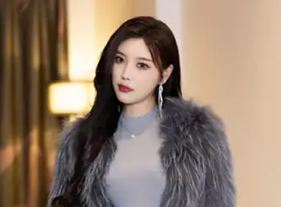 专题-杨晨晨-图佳人